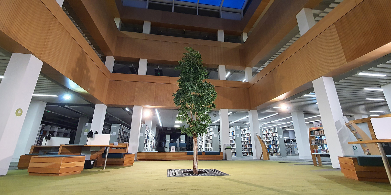 Ҵúmv library foyer with the living tree in the centre.